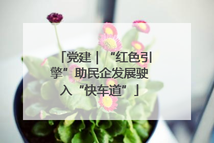 党建｜“红色引擎”助民企发展驶入“快车道”