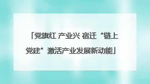 党旗红 产业兴 宿迁“链上党建”激活产业发展新动能