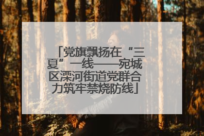 党旗飘扬在“三夏”一线——宛城区溧河街道党群合力筑牢禁烧防线