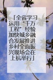 全省学习运用“千万工程”经验加快城乡融合发展推进乡村全面振兴现场会在上杭举行