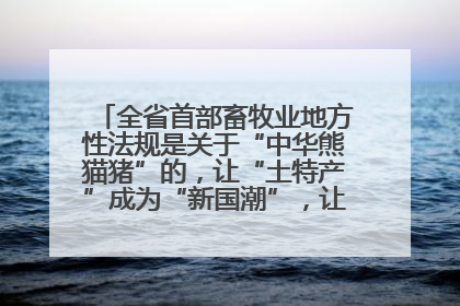 全省首部畜牧业地方性法规是关于“中华熊猫猪”的，让“土特产”成为“新国潮”，让“农产品”升格为“城市IP”