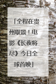 全程在贵州取景！电影《长夜将尽》今日全球首映