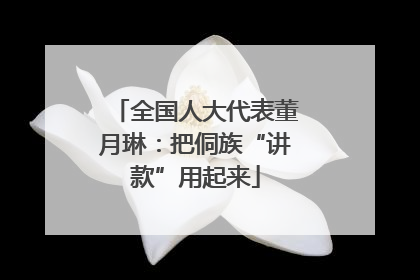 全国人大代表董月琳：把侗族“讲款”用起来