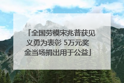 全国劳模宋兆普获见义勇为表彰 5万元奖金当场捐出用于公益