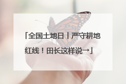 全国土地日丨严守耕地红线！田长这样说→