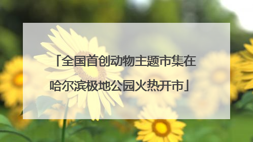 全国首创动物主题市集在哈尔滨极地公园火热开市
