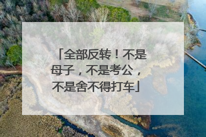 全部反转！不是母子，不是考公，不是舍不得打车