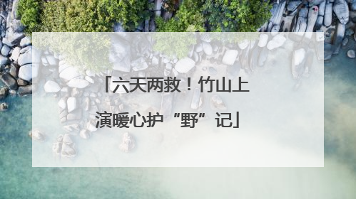 六天两救！竹山上演暖心护“野”记