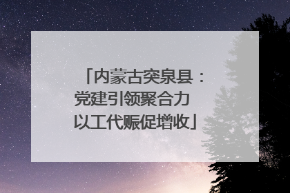 内蒙古突泉县：党建引领聚合力 以工代赈促增收