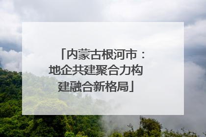内蒙古根河市：地企共建聚合力构建融合新格局