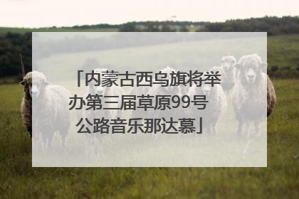 内蒙古西乌旗将举办第三届草原99号公路音乐那达慕
