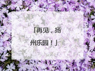 再见，扬州乐园！