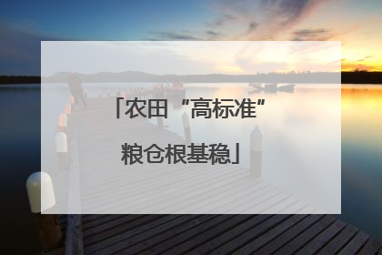农田“高标准” 粮仓根基稳
