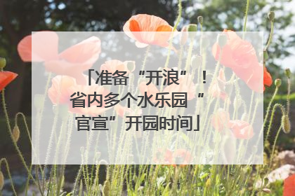 准备“开浪”！省内多个水乐园“官宣”开园时间