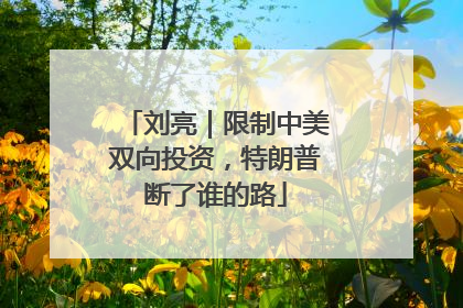 刘亮｜限制中美双向投资，特朗普断了谁的路