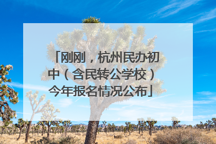 刚刚，杭州民办初中（含民转公学校）今年报名情况公布