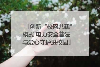 创新“校网共建”模式 电力安全普法与爱心守护进校园