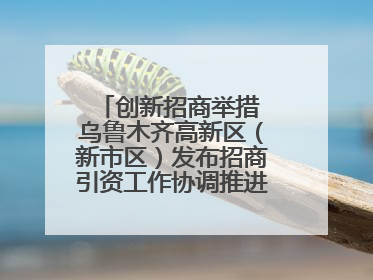 创新招商举措 乌鲁木齐高新区（新市区）发布招商引资工作协调推进机制 打造投资发展新高地