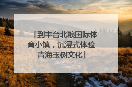 到丰台北粮国际体育小镇，沉浸式体验青海玉树文化