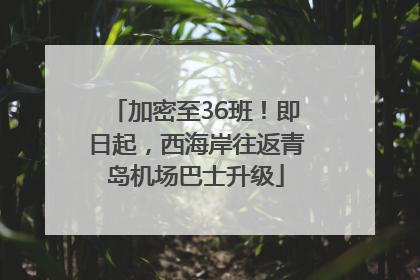 加密至36班！即日起，西海岸往返青岛机场巴士升级