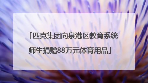 匹克集团向泉港区教育系统师生捐赠88万元体育用品