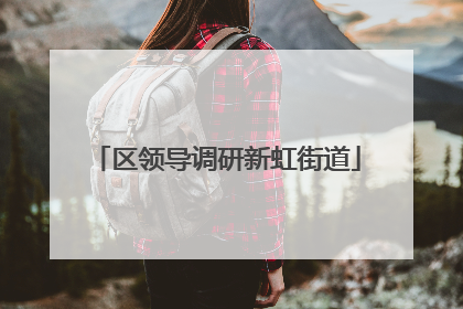 区领导调研新虹街道