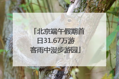 北京端午假期首日31.67万游客雨中漫步游园