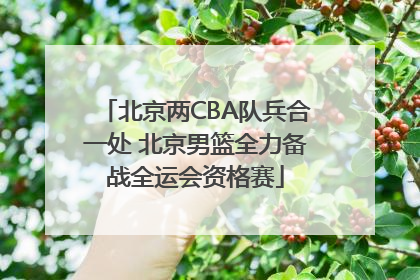 北京两CBA队兵合一处 北京男篮全力备战全运会资格赛