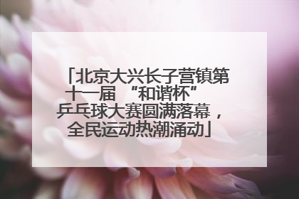 北京大兴长子营镇第十一届 “和谐杯” 乒乓球大赛圆满落幕，全民运动热潮涌动