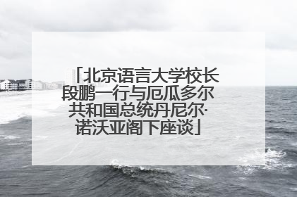 北京语言大学校长段鹏一行与厄瓜多尔共和国总统丹尼尔·诺沃亚阁下座谈