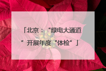 北京：“绿电大通道”开展年度“体检”