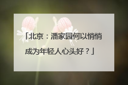 北京：潘家园何以悄悄成为年轻人心头好？