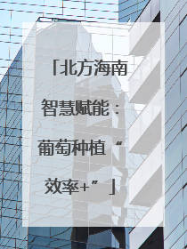 北方海南智慧赋能：葡萄种植“效率+”