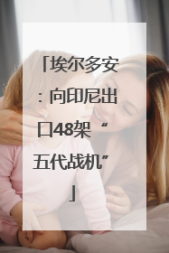 埃尔多安：向印尼出口48架“五代战机”
