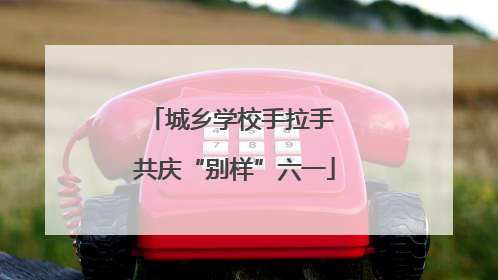 城乡学校手拉手 共庆“别样”六一
