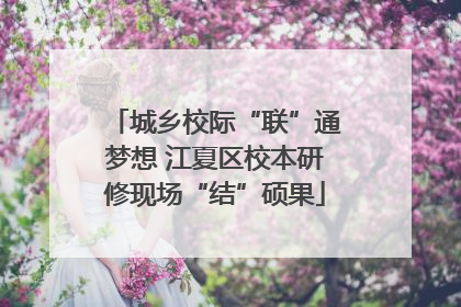 城乡校际“联”通梦想 江夏区校本研修现场“结”硕果