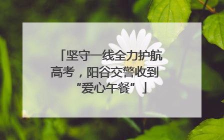 坚守一线全力护航高考，阳谷交警收到“爱心午餐”