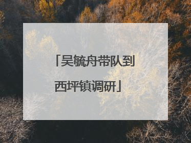 吴毓舟带队到西坪镇调研