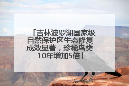 吉林波罗湖国家级自然保护区生态修复成效显著，珍稀鸟类10年增加5倍