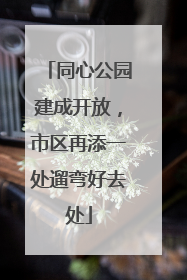 同心公园建成开放，市区再添一处遛弯好去处