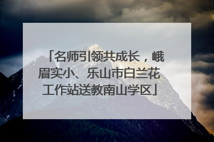 名师引领共成长，峨眉实小、乐山市白兰花工作站送教南山学区