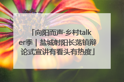 向阳而声·乡村talker季｜盐城射阳长荡镇辩论式宣讲有看头有热度