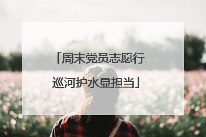 周末党员志愿行 巡河护水显担当