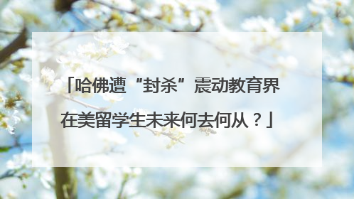 哈佛遭“封杀”震动教育界 在美留学生未来何去何从？
