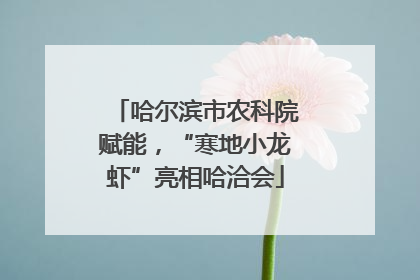 哈尔滨市农科院赋能，“寒地小龙虾”亮相哈洽会