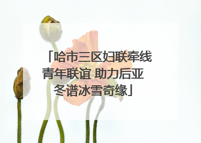 哈市三区妇联牵线青年联谊 助力后亚冬谱冰雪奇缘