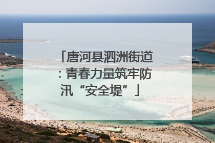 唐河县泗洲街道：青春力量筑牢防汛“安全堤”