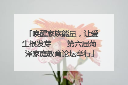 唤醒家族能量，让爱生根发芽——第六届菏泽家庭教育论坛举行