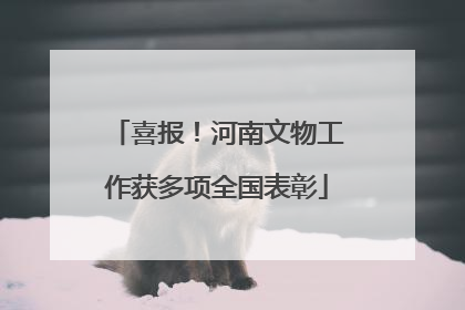 喜报！河南文物工作获多项全国表彰