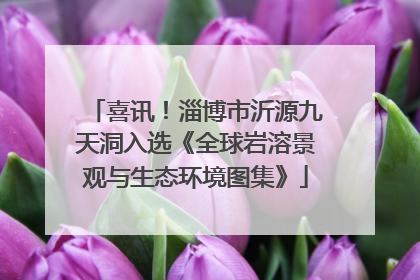 喜讯！淄博市沂源九天洞入选《全球岩溶景观与生态环境图集》